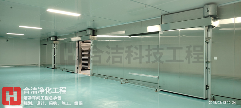 十萬(wàn)級(jí)潔凈廠房